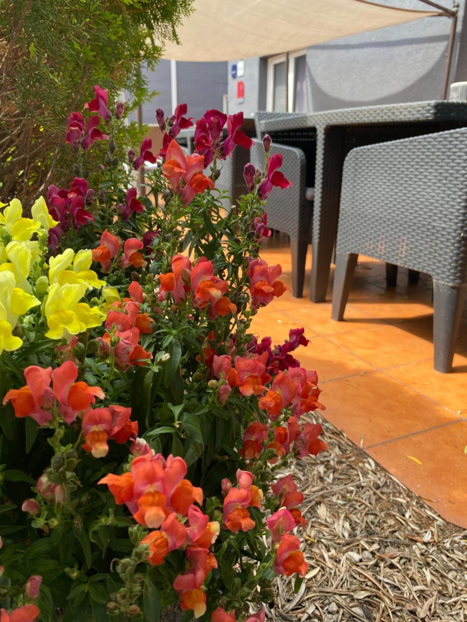 Contact Hotel Le Sud Montpellier Aeroport Parc Expo Arena Mauguio Eksteriør billede